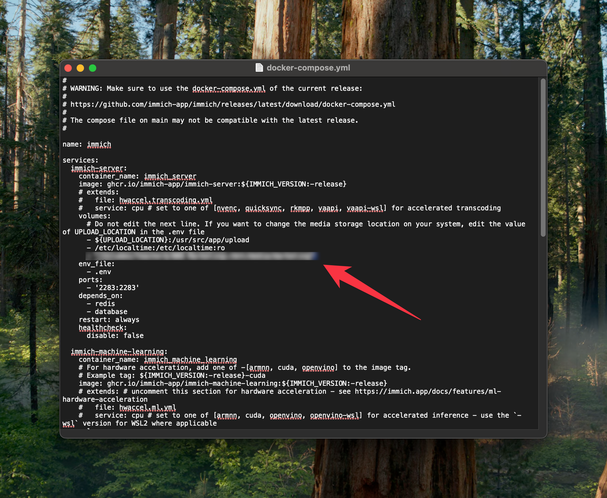 Installation von Docker und Immich auf Mac OS